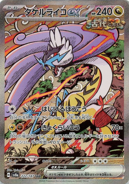 タケルライコex【PSA10】